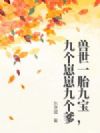 兽世一胎九宝,九个崽崽九个爹